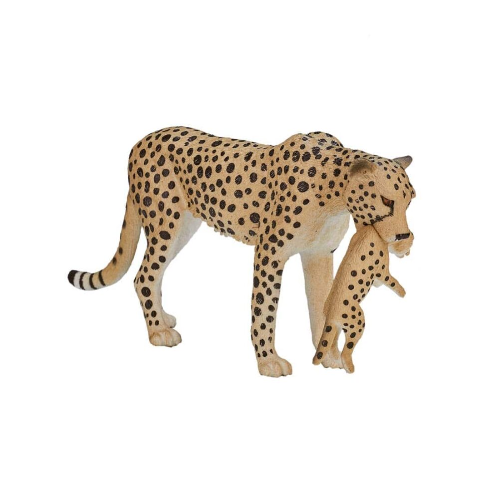5031923871670_3D