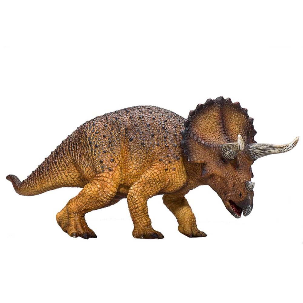 5031923873643_3D