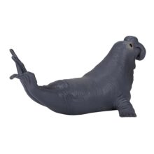 5031923872080_op